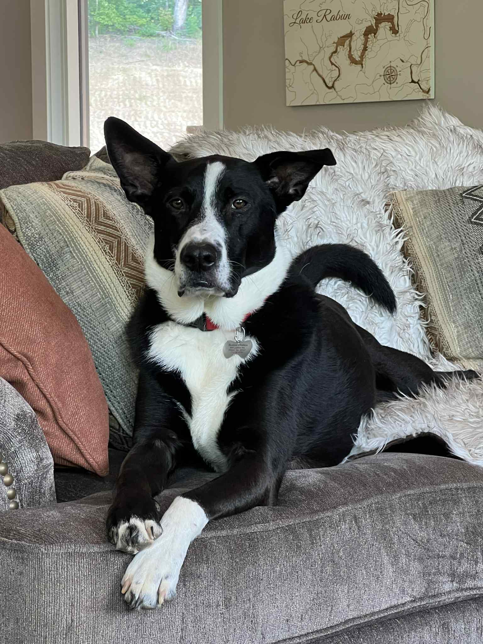 748b744c-c87f-4259-9957-cc55f48fa969-2