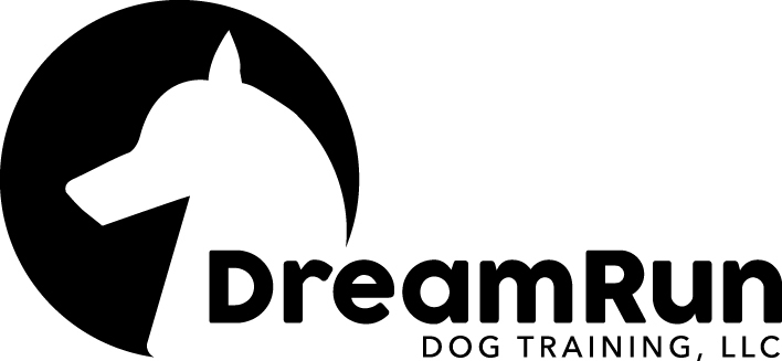 DreamRun_Horizontal_Black